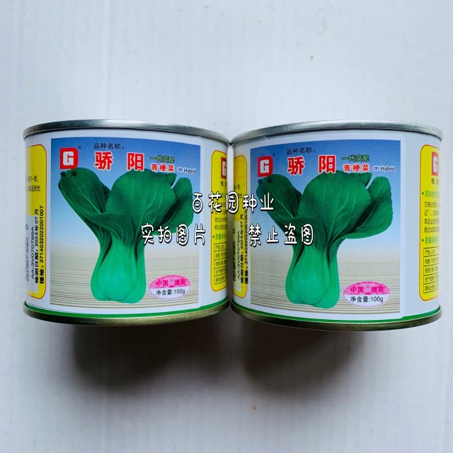 德高骄阳青梗菜种籽种子耐热耐湿蔬菜种子/种苗