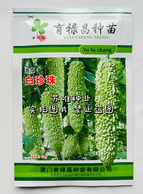 白珍珠苦瓜种子淡白绿色早熟抗病性强分枝能力强产量高基地专用种