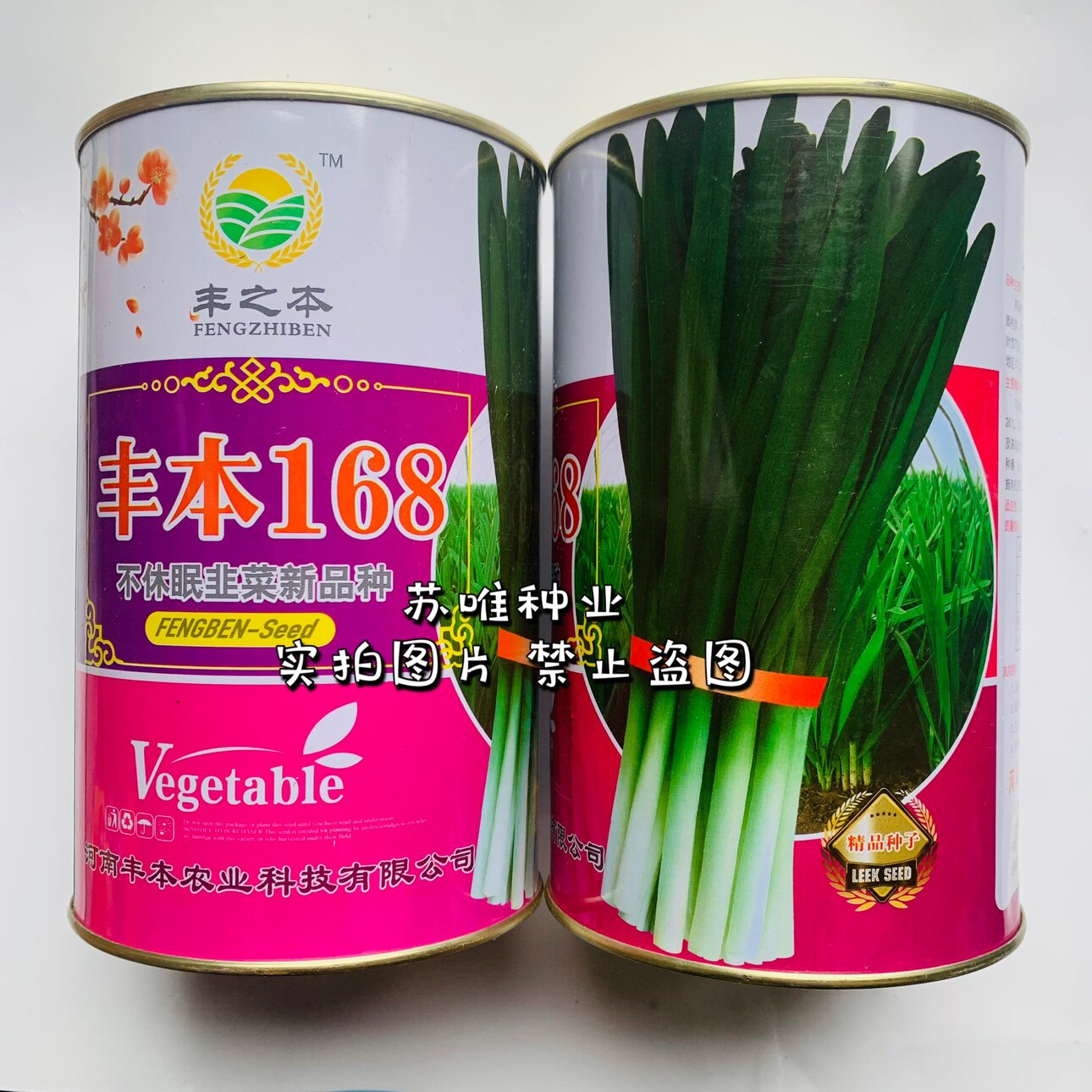 丰本168 韭菜种子耐寒多抗型宽叶不休眠绿白根韭菜籽高产大田种孑