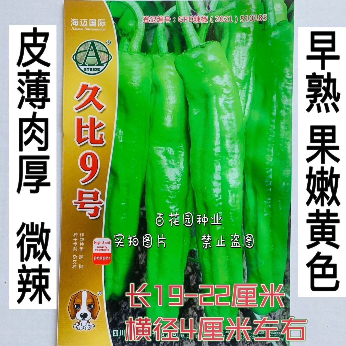 海迈久比9号 辣椒种子早熟大果薄皮微辣嫩黄绿皮泡椒大田专用种孑