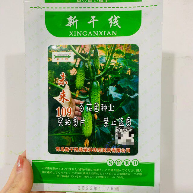 新干线未来109黄瓜种子耐热全雌耐病毒高产瓜色浅翠绿油亮大刺瘤