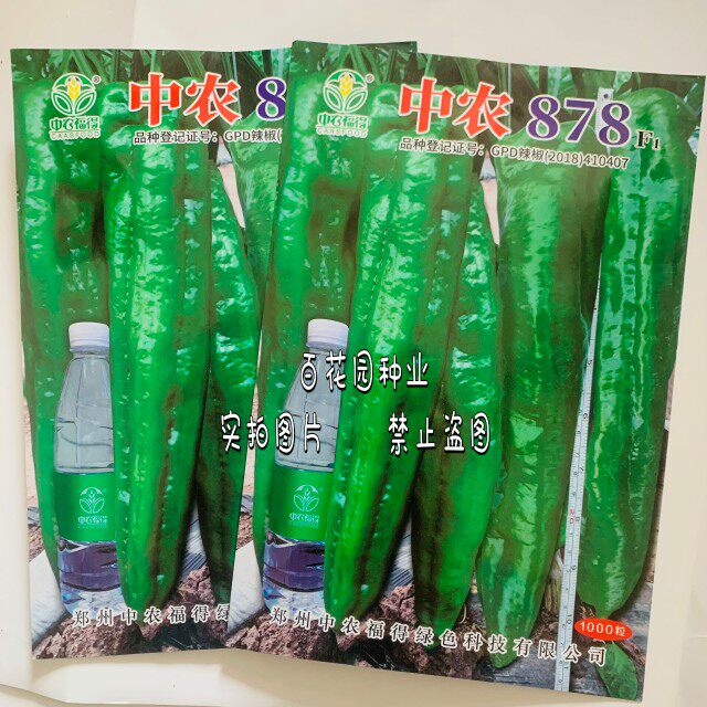 中农福得中农878辣椒种子大果牛角泡椒种籽皮薄肉厚耐高温耐低温