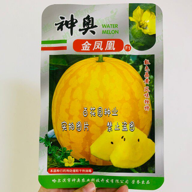 神奥金凤凰西瓜种子 早熟高圆型水果种子/种苗