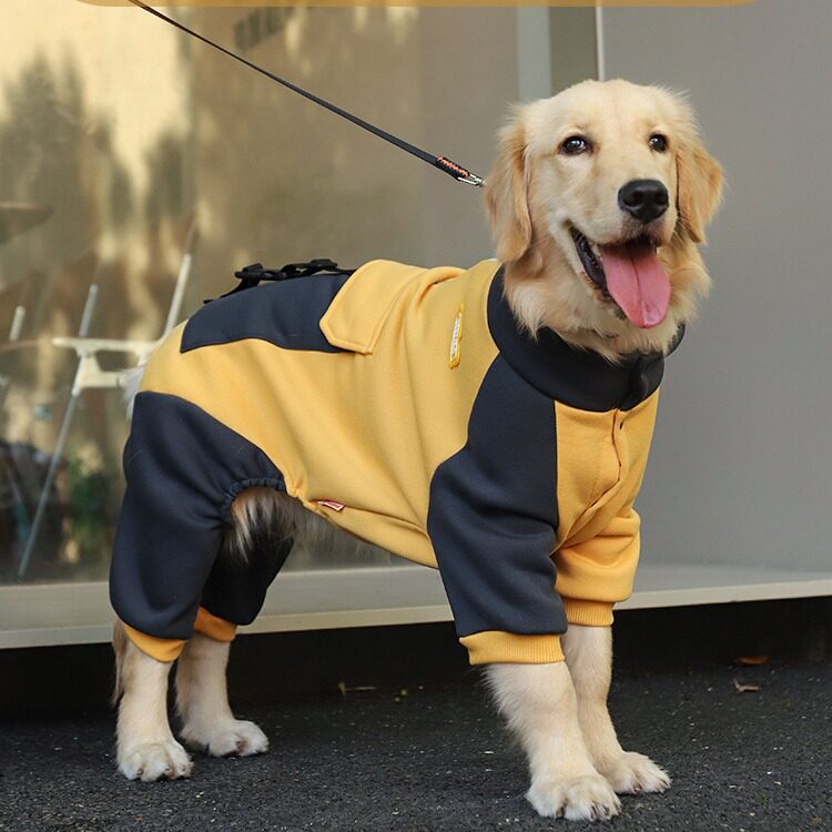 狗狗衣服秋冬金毛中型大型犬宠物春秋款大狗拉布拉多四脚卫衣冬季图片