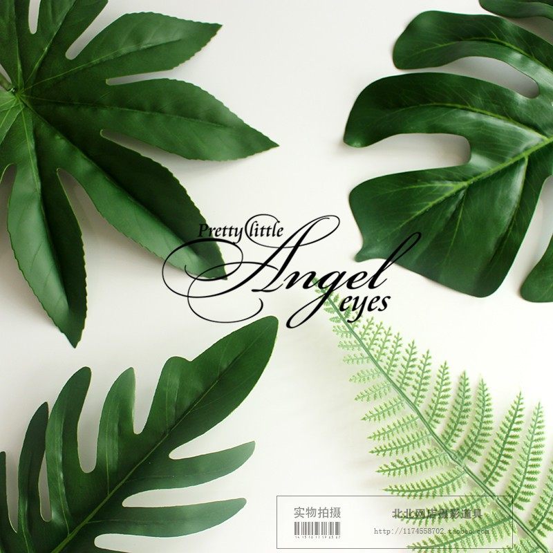 chic韩国极简ins风仿真树叶植物热带椰树叶子拍照摄影道具背景