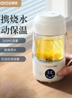 迷你便携煮茶器小型养生壶