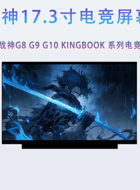 神舟战神G8/G9/G10 TA/CA/DA5/7/9NP/S KINGBOOK G97E笔记本屏幕