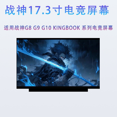 神舟战神G8/G9/G10 TA/CA/DA5/7/9NP/S KINGBOOK G97E笔记本屏幕