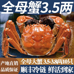 活蟹特大全母蟹公蟹现货鲜活螃蟹骆马湖大闸蟹宿迁霸王蟹阳澄礼盒