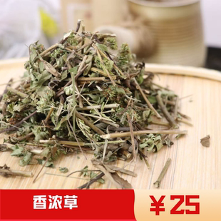 野生牛至正宗中药材香炉草香龙茶香薷草香浓茶山薄荷茵陈满坡香