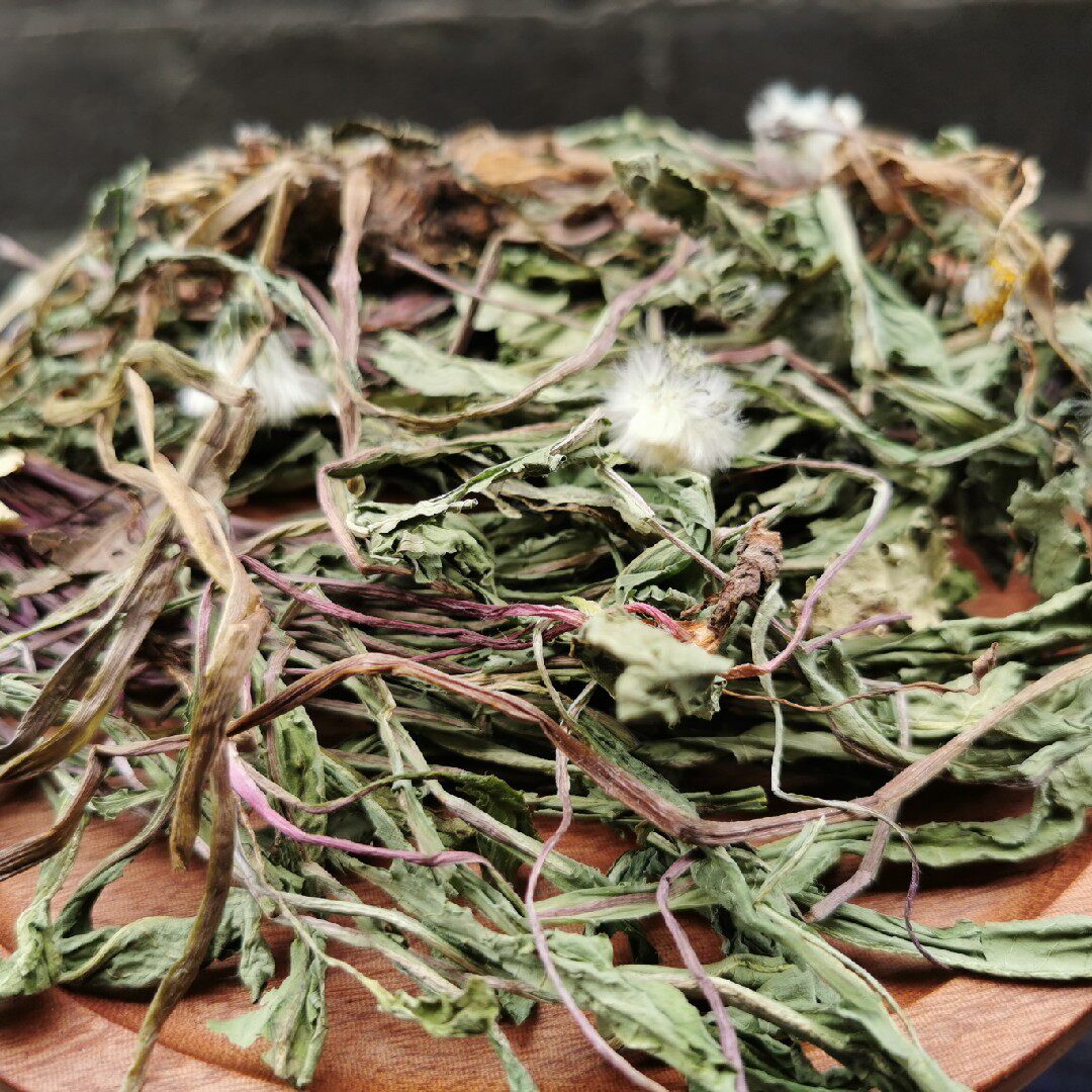 中草药野生蒲公英带根 现挖 叶子 整颗棵 全草 整株 500g 包邮