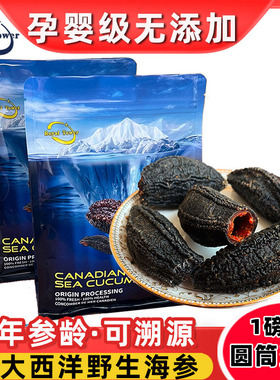 加拿大海参北极参进口海参干货 海生红极参野生454克圆筒淡干海参