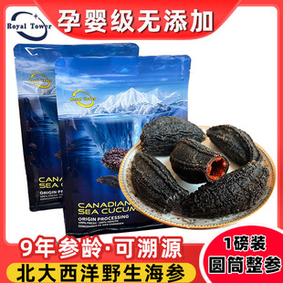 加拿大海参北极参进口海参干货 海生红极参野生454克圆筒淡干海参