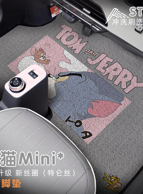 25款吉利熊猫mini卡丁骑士专用丝圈脚垫主驾驶内饰防脏易清理防水