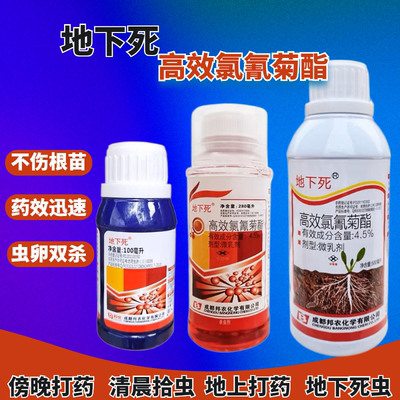 地下死高效氯氰菊酯杀虫剂