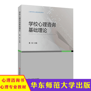 学校心理咨询基础理论 华东师范大学出版 桑标 社 普通 社会心理学 发展 华东 正版 学校心理咨询 上海市学校心理咨询考试培训用书