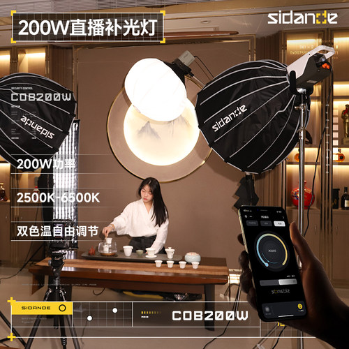斯丹德200W直播补光灯双色温可调