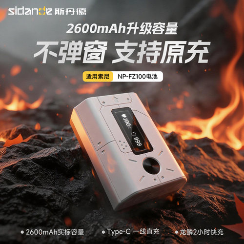 斯丹德NP-FZ100相机电池