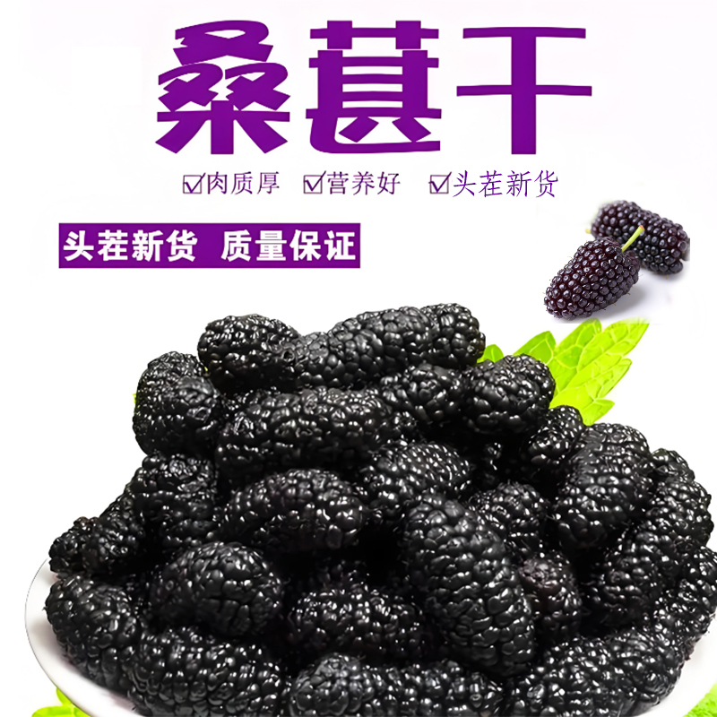 新疆桑葚干免洗即食2024大颗粒无沙干吃泡水桑葚中大果