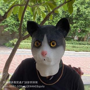 猫头面具可爱猫咪黑猫乳胶头套万圣节舞会动物道具舞台表演用品