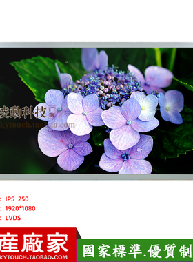 21.5寸显示屏 LVDS工控液晶屏1920*1080商用屏幕IPS视角 可配触摸
