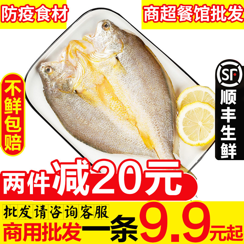 半干黄鱼霞浦黄鱼鲞第二件减20图片