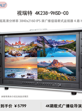 视瑞特（SEETEC） 23.8