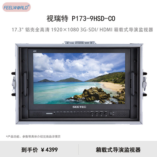 视瑞特（SEETEC）17.3