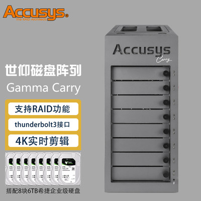 ACCUSYS 雷电3存储系统 影视后期视频剪辑4K磁盘阵列柜 Gamma Carry （含48TB希捷盘五年质保）Accusys/世仰