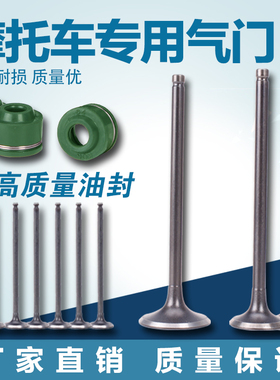 摩托车 适用本田 Steed400 大蚂蚁 铁马400 进气门 排气门 气门杆