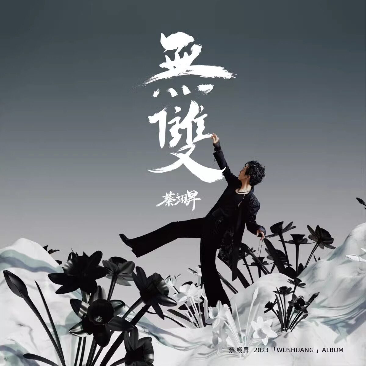 官方正版 蔡翊昇 无双 贰婶 古风国风唱作人专辑 歌词本 cd唱片