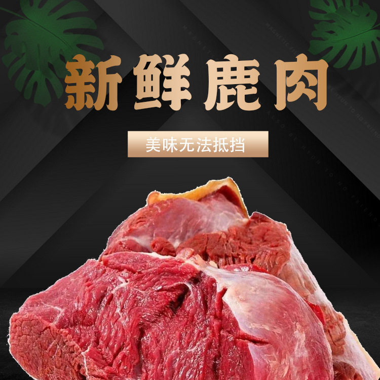 吉林特产鲜鹿肉东北特产肉质细腻 新鲜鹿肉冷链直邮鲜鹿肉 热卖