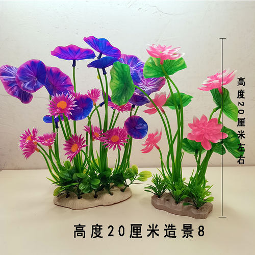 水自在鱼缸造景组合套餐
