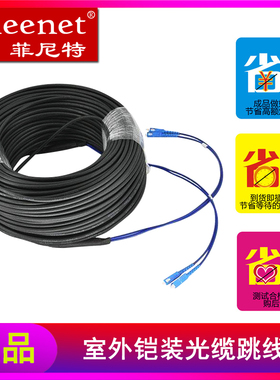 菲尼特 2芯SC-SC室外铠装光缆架空免熔接光纤跳线成品线电信级户外延长线4/6/8/12芯