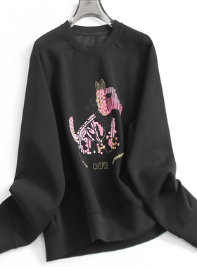 万针刺绣图案宽松显瘦圆领插肩长袖2024秋季百搭休闲女装卫衣F832