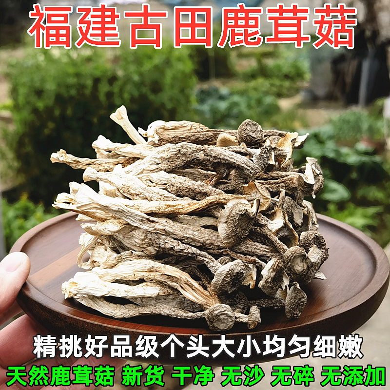 福建古田鹿茸菇天然野生干货土特产脆脆菇干煲汤炒菜蘑菇菌子500g