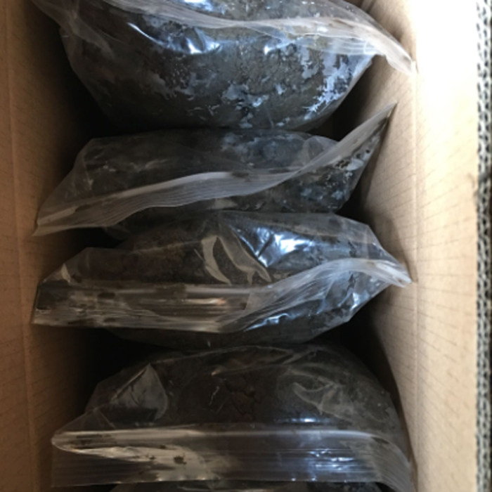 蚯蚓 蚯蚓活体 食物 污泥 活体 饲料垂钓 饵料