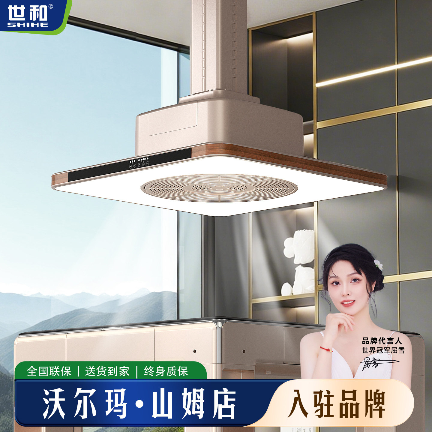 世和棋牌室麻将机吸烟灯空气净化器茶楼升降吊灯专用抽烟排烟神器