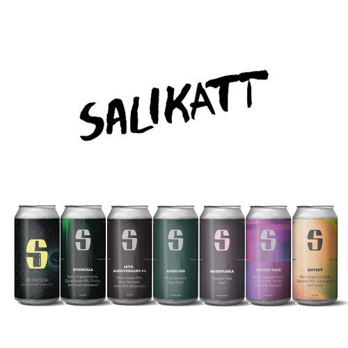 挪威进口 沙利猫 Salikatt 酸艾尔/双倍IPA系列 440ml易拉罐