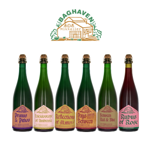 美奇乐秘境 啤酒 Mikkeller 野菌艾尔 750毫升 系列 丹麦进口