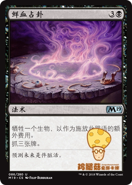 鸡腿菇卡牌 万智牌 MTG 核心系列2019 M19 简中 鲜血占卦