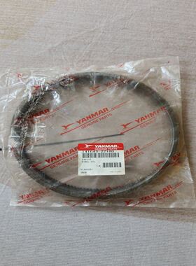 YANMAR M200活塞环，741654-22503，全