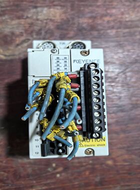 基恩士安全光栅控制器，SL-T11R，拆机，实物拍摄，成