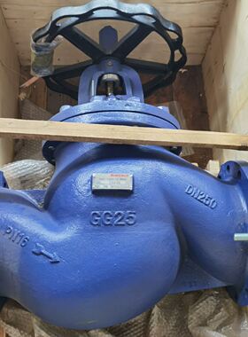 DN250 V4SV250 DN80 V4SV080 VS