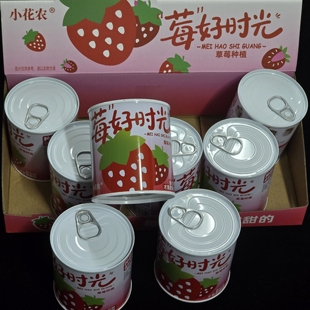 小花农创意种植易拉罐随机发草莓辣椒花生西瓜南瓜萝卜玉米