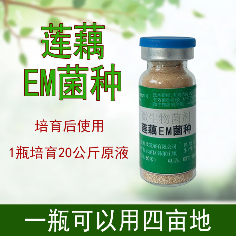 益富源莲藕宝em菌种藕带种植藕节白节长节粗专用肥料减少麻点铁锈