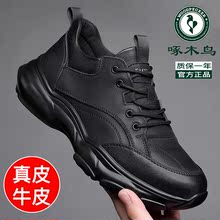 啄木鸟男鞋2025新款春秋季真皮软底运动休闲鞋子潮流加绒皮鞋男款