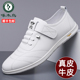 白色软底百搭韩版 真皮透气休闲鞋 潮鞋 轻便男士 啄木鸟男鞋 皮鞋 夏季