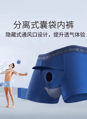 David Archy枪弹分离男内裤莫代尔冰丝透气两室一厅