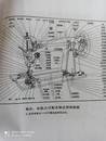 燕牌蝴蝶飞人老式 缝纫机配件大全维修资料零件图跳线家用